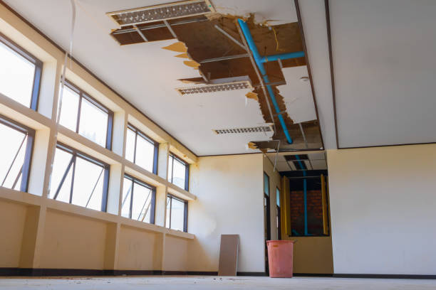 Best Mold removal after water damage  in East Pepperell, MA