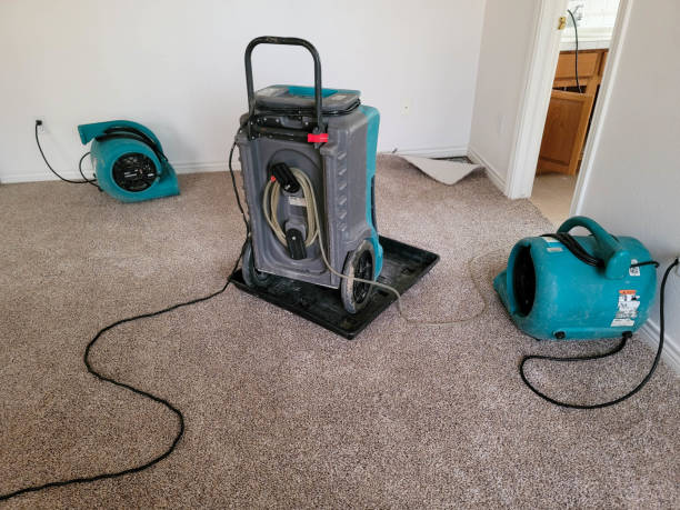 Best Ceiling water damage repair  in East Pepperell, MA