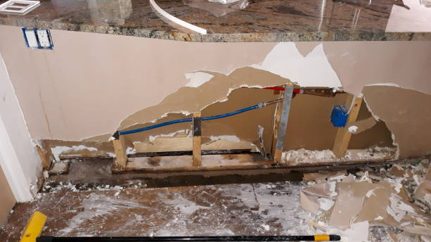Best Professional water damage repair  in East Pepperell, MA
