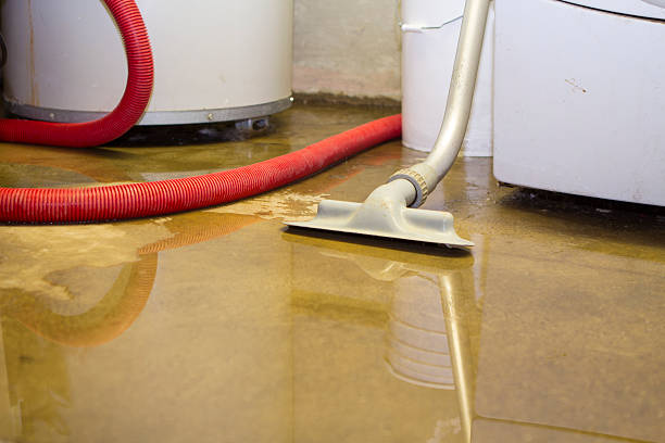 Best Fire Damage Restoration  in East Pepperell, MA