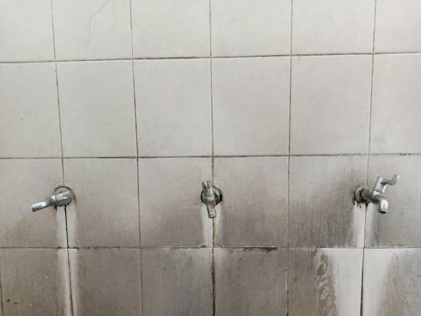 Best Commercial water damage restoration  in East Pepperell, MA