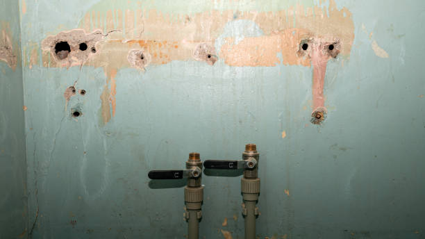 Best 24/7 water damage repair  in East Pepperell, MA